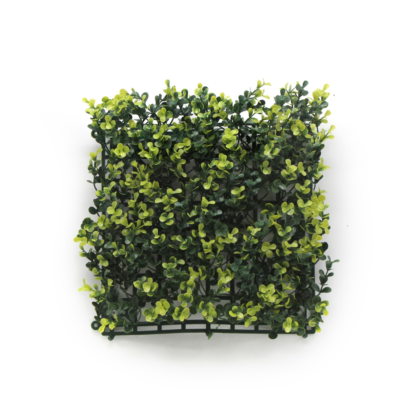 Wall Grass - BUXUS  Pack of 6  Rs:5700/-