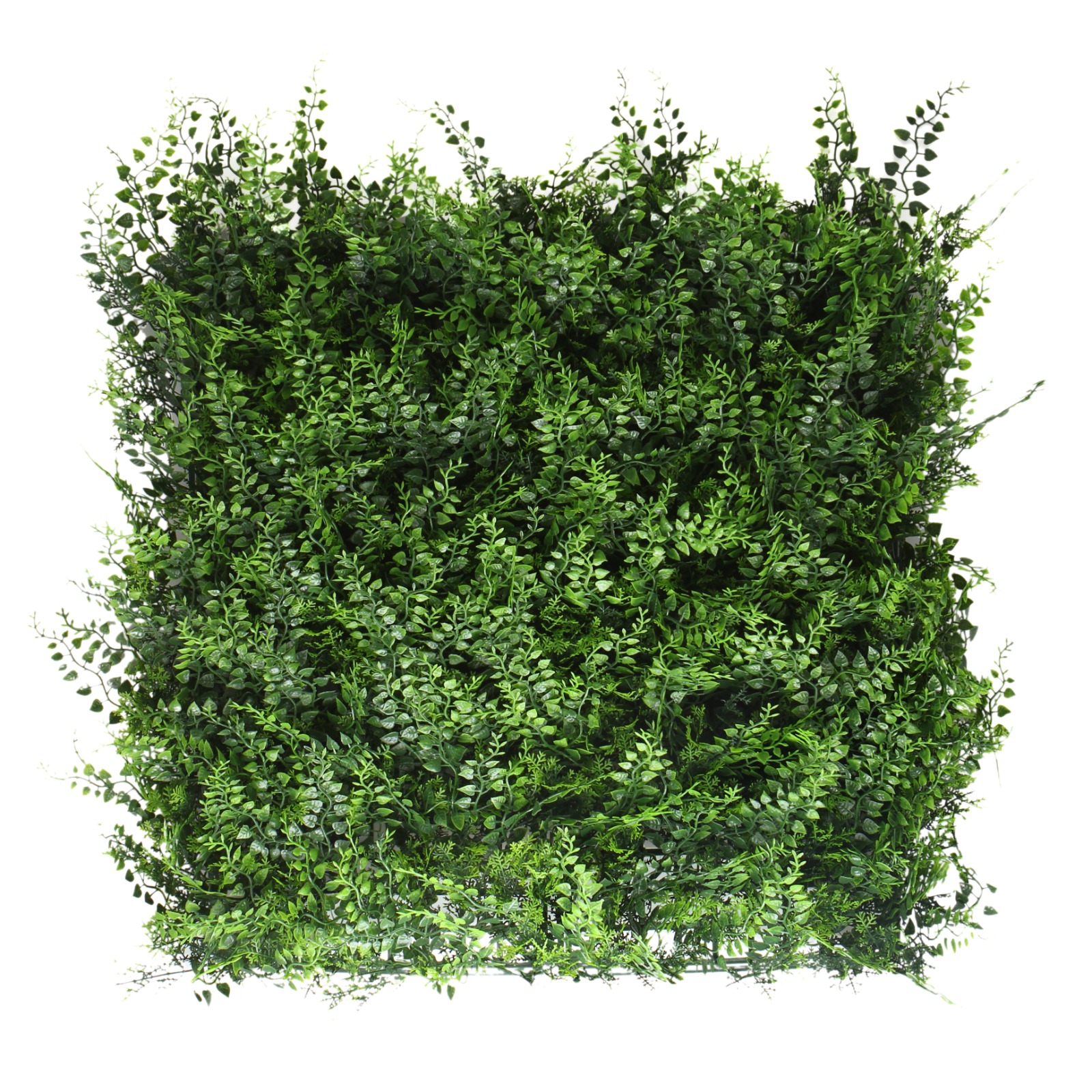 Artificial Green Wall Panels FERN Pack of 6  Rs:5800/-